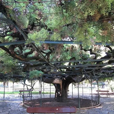 公寓 里斯本普林西比里尔我居公寓 Lisboa