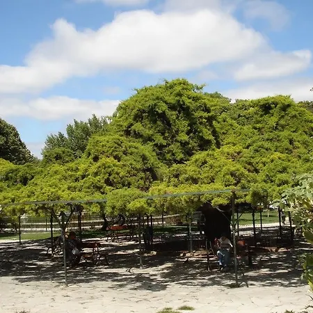 公寓 里斯本普林西比里尔我居公寓 Lisboa