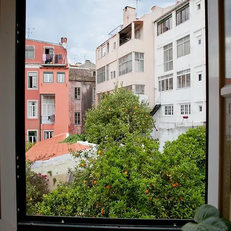 Myplace - Principe Real Studio